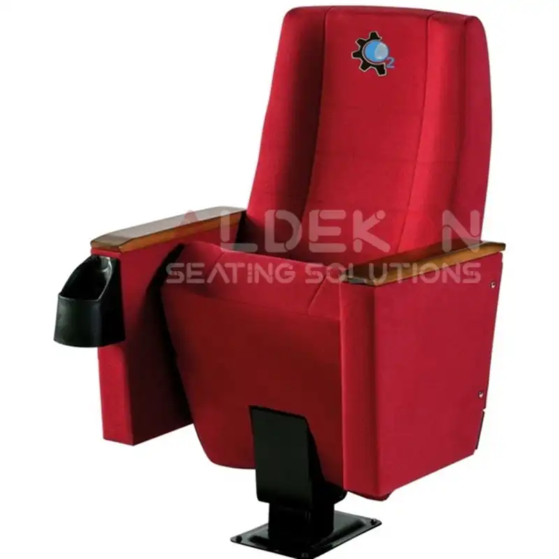 Saida-konferans-sinema-stad-koltugu-05