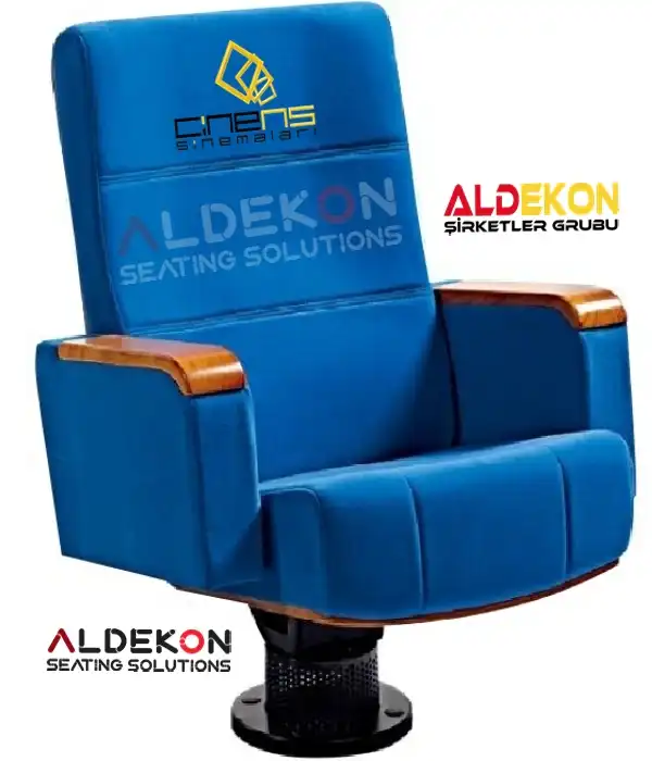 Salvador-konferans-sinema-koltugu-01