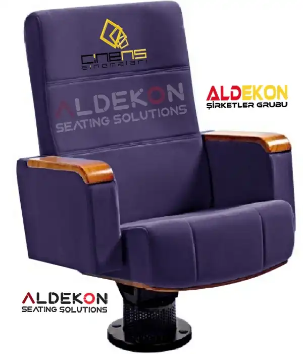 Salvador-konferans-sinema-koltugu-05