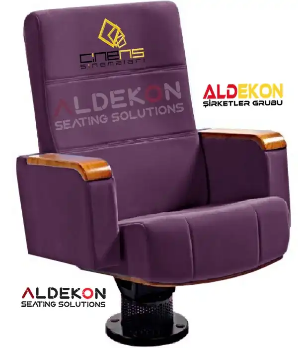 Salvador-konferans-sinema-koltugu-06