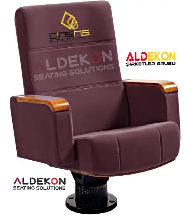 Salvador-konferans-sinema-koltugu-07