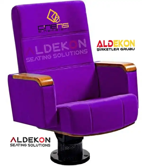 Salvador-konferans-sinema-koltugu-08