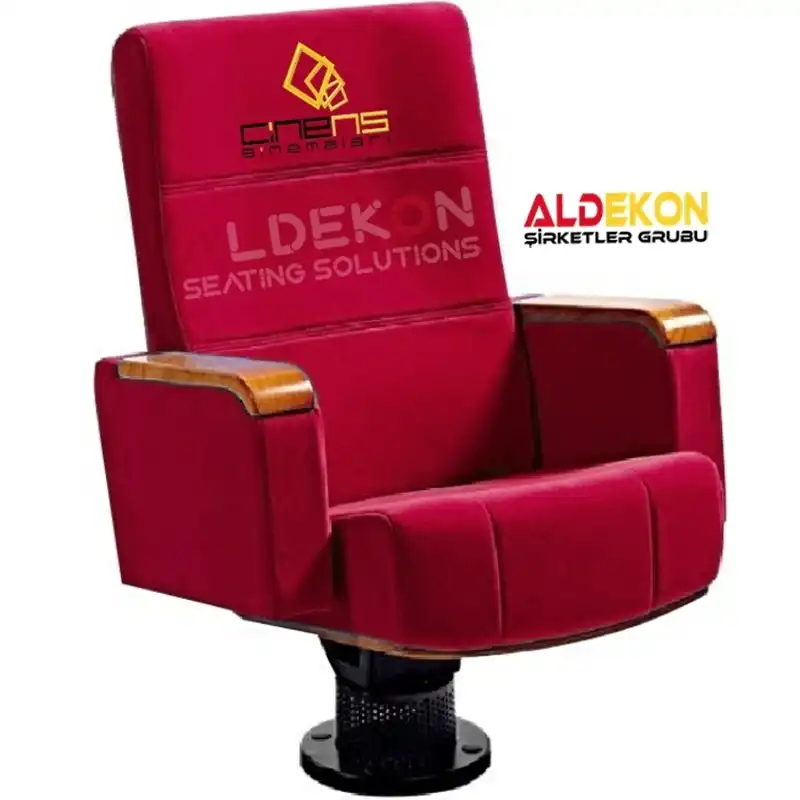 Salvador-konferans-sinema-koltugu-09