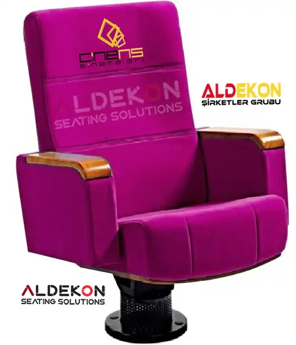 Salvador-konferans-sinema-koltugu-10