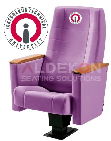 Tebessa-konferans-sinema-stad-koltugu-09