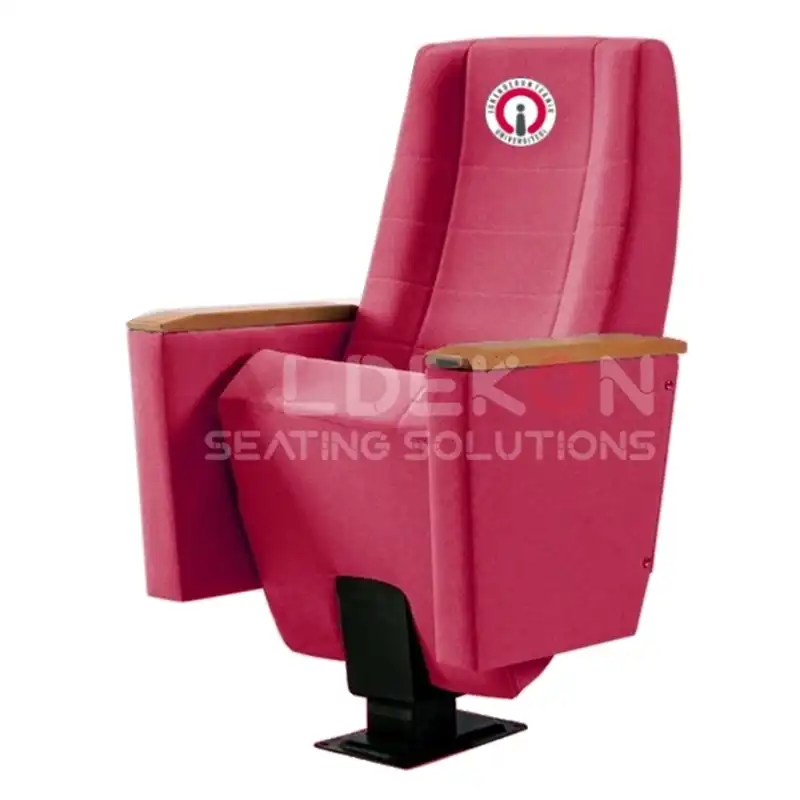 Tebessa-konferans-sinema-stad-koltugu-13