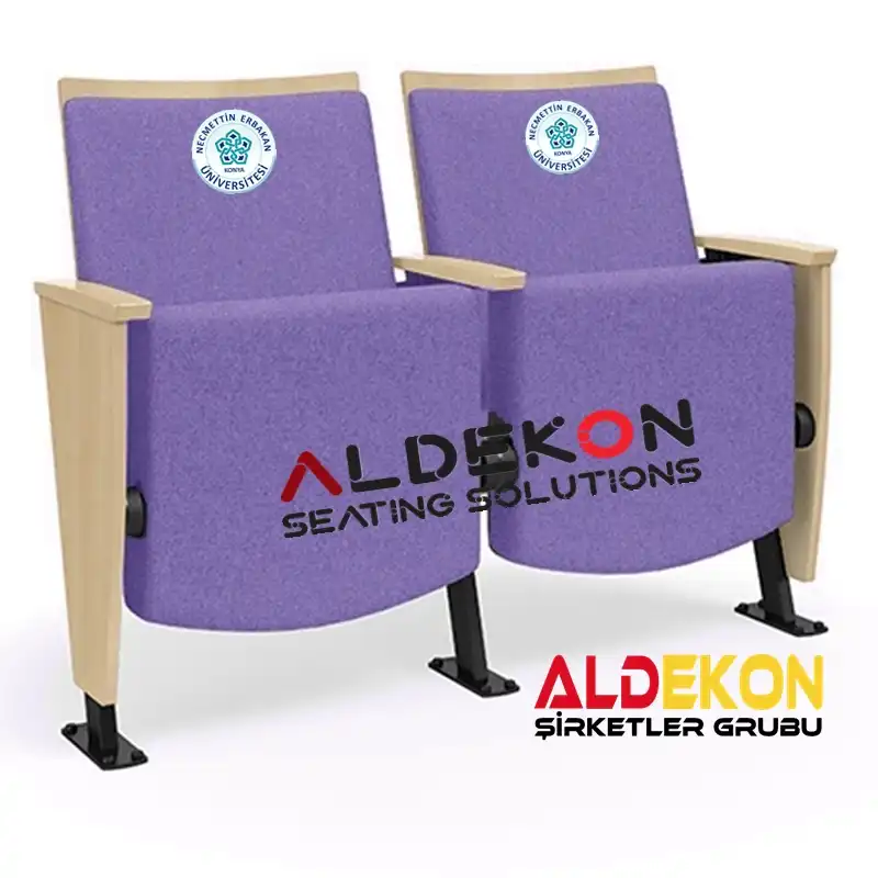 catamarca-konferans-sinema-koltugu-02