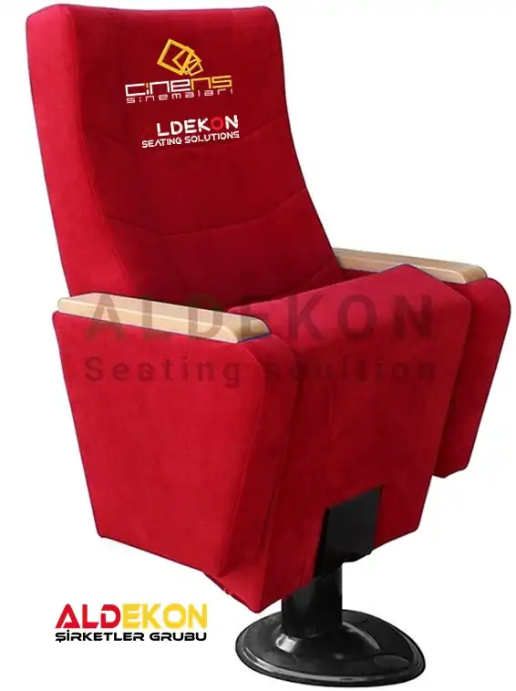 st-petersburg-konferans-koltugu-54