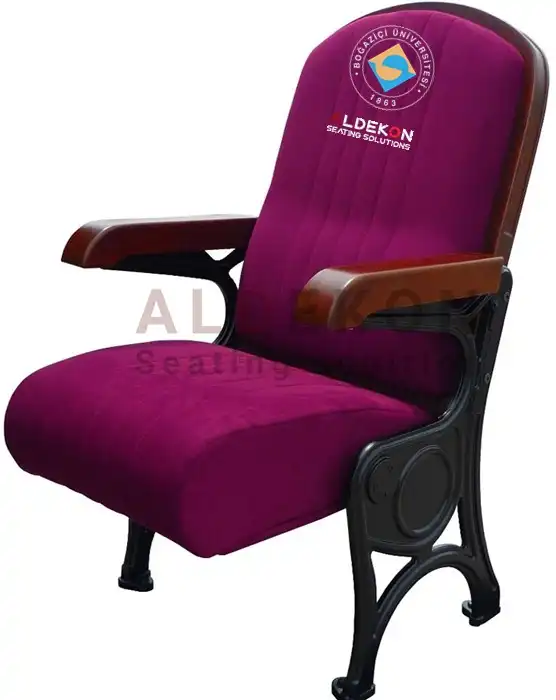 vomel-konferans-sinema-koltugu-56